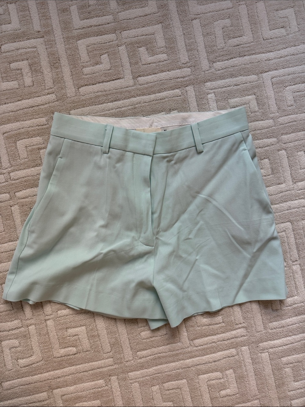 dMn Light Mint Tailored Women's Shorts